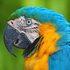 Meet your Posher, Damian